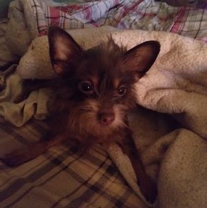 Meet your Posher, Barbara